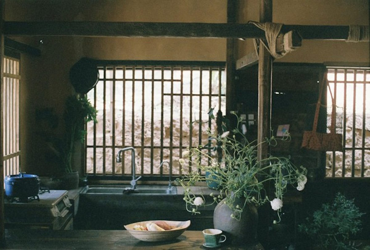 bỏ phố lên rừng