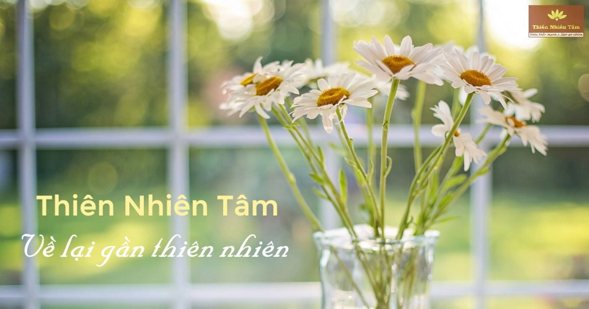 giới thiệu thiên nhiên tâm