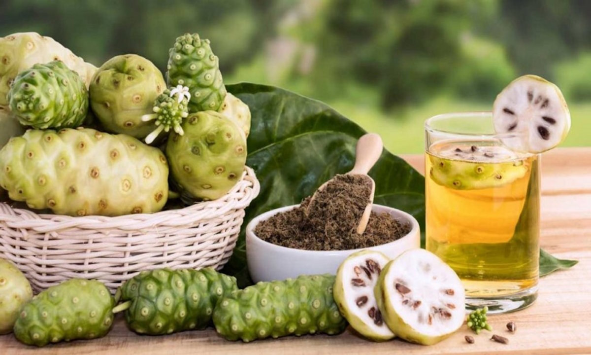 tác dụng chữa bệnh của trái nhàu